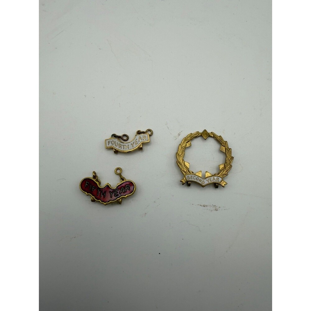 Vintage Lot Of Enameled Church Sunday School Pins Baptist Little System